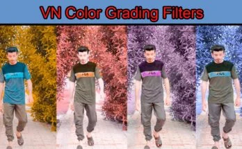 Color grading filter VN